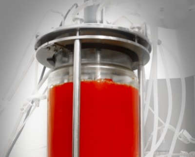 Hawaiian company Kuehnle AgroSystems has patented a way to produce astaxanthin in a fermentation-style setting. KAS photo