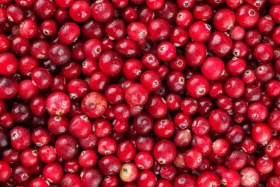 Comprehensive review backs cranberry products for urinary tract infections