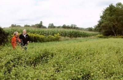 Grower Sam Beer, left, and Big Bold Health CEO Dr Jeffrey Bland inspect a field of Himalayan Tartary buckwheat earlier this year.  Big Bold Health photo.