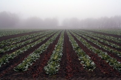 Soil health is a priority for MegaFood. Photo courtesy of MegaFood