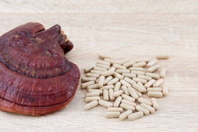 The product tested contained a combination of Reishi (pictured above), Shiitake, and Maitake mushroom extracts.  Image © Getty Images / Songsak Paname