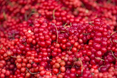 The berries of Schisandra chinensis are known as ‘Omija’ in Korea, and as wu wei zi in Chinese    Image © bong hyunjung / Getty Images 