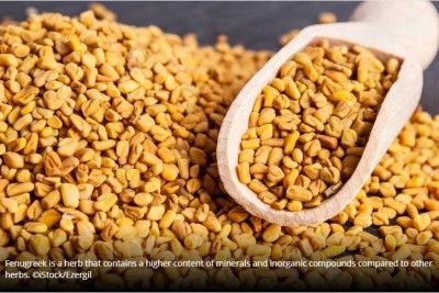 Fenugreek extract may increase strength and muscle mass