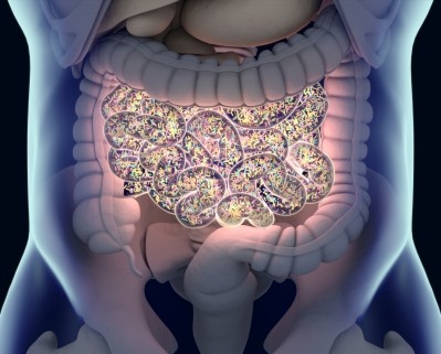 Study observes gut dysbiosis in anaemic women