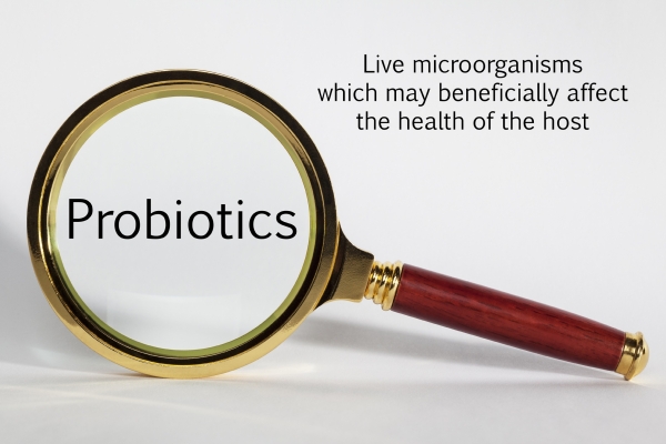 Probiotics defn