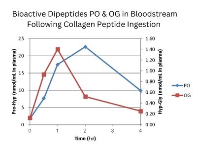 Bioactive Dipeptides PO OG Absoprtion