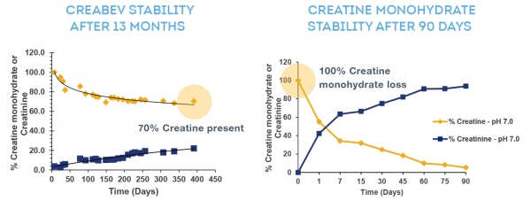 CreaBev_CreatineMono_Stability chart