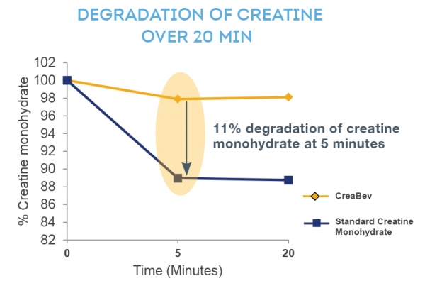 Degradation_Creatine_Chart