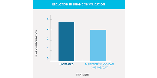 Reduction-lung-consolidation