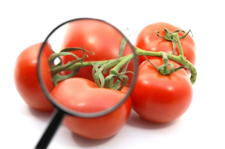 Red revolution: As science grows for lycopene, will the market follow?