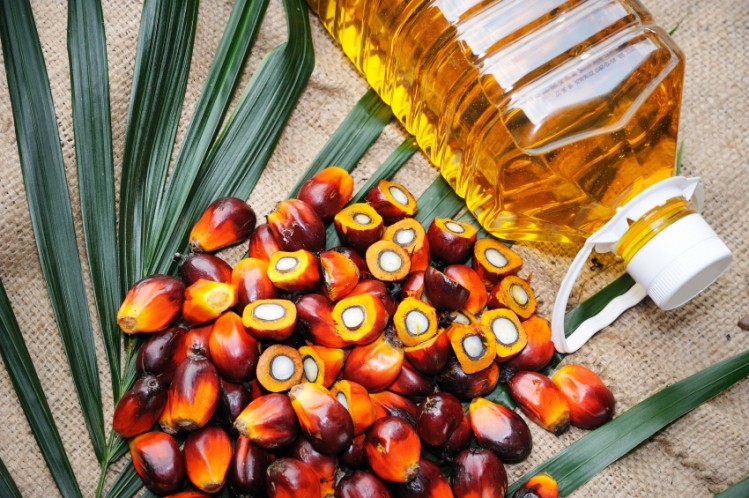 The study used vitamin E tocotrienols derived from palm. © iStock