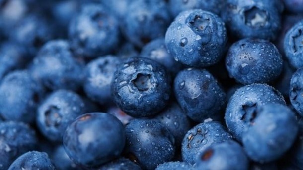 Pterostilbene - a phenolic compound found in blueberries and grapes - may help to fight off obesity, new research has claimed.