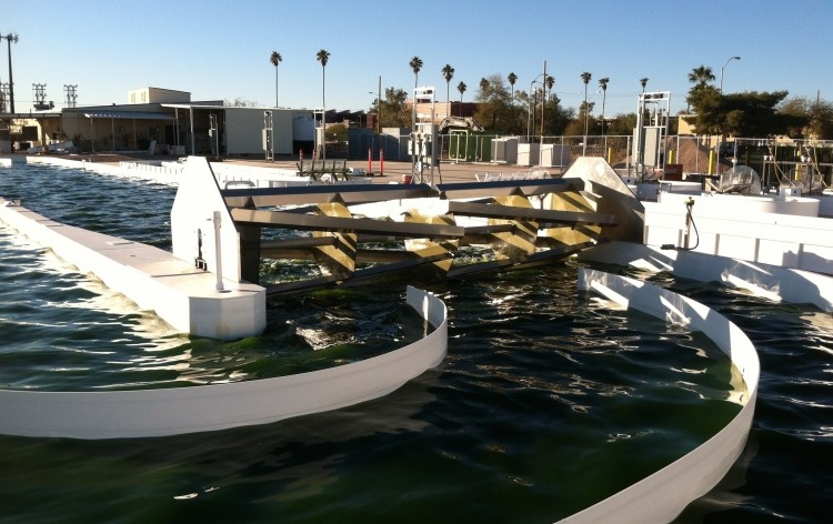 The Arizona Center for Algae Technology and Innovation (AzCATI) has about 2 acres of outdoor space to test algae production techniques.