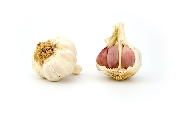 Aged garlic plus CoQ10 show heart health benefits: RCT