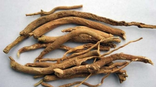 Sensoril, described as a ‘next generation Ashwagandha extract’, uses both roots (above) and leaves.