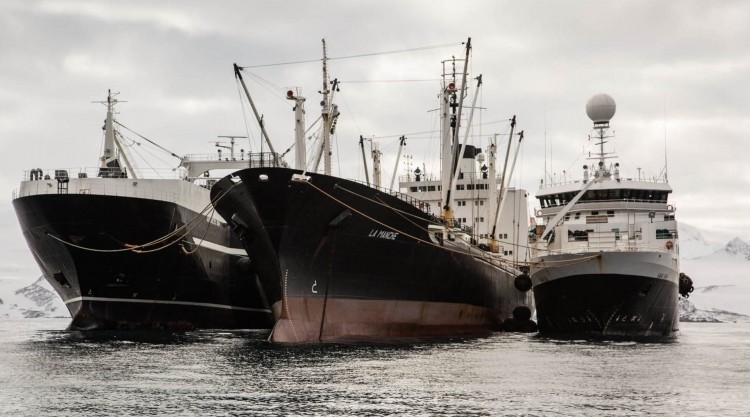 Aker Biomarine operates a three-vessel fleet to harvest krill near Antarctica.