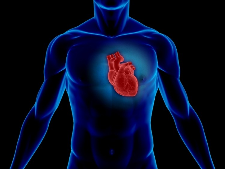 Calcium supplements safe for heart health: Harvard study