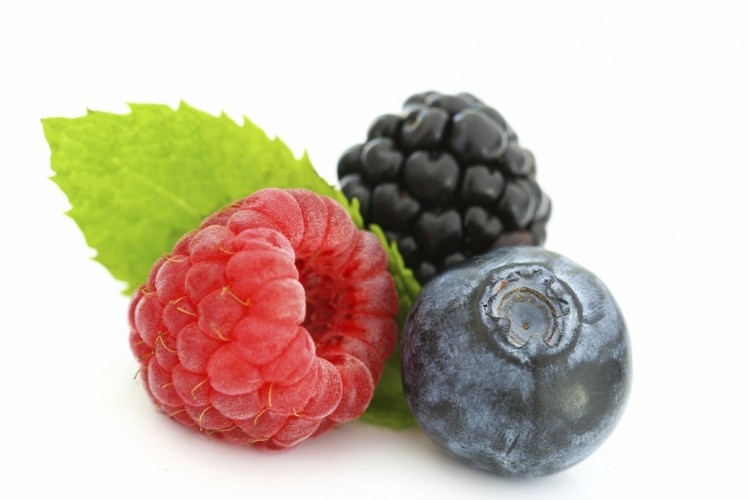 The potential gut health benefits of berries offer fruitful research area