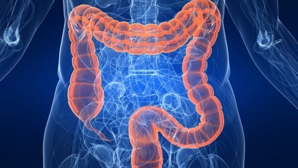 Probiotics could be useful in the prevention of fatty liver disease by modifying the gut-liver axis, say researchers.