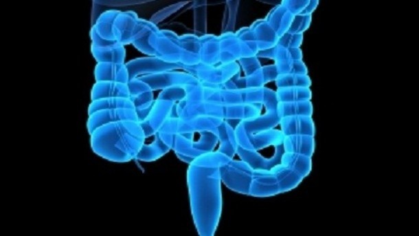 Microbiota may communicate with human gut cells through enzyme signalling