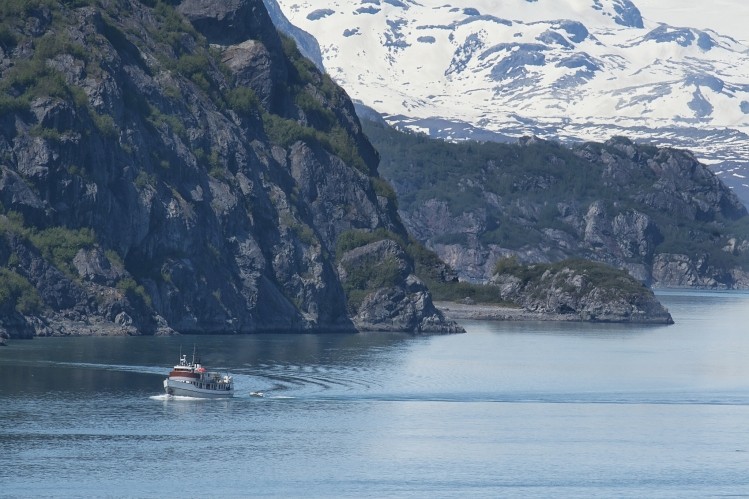 A fishing vessel in Alaska. One of the new ingredients is a medium strength DHA alternative to tuna oil derived from wild Alaska Pollock. Image © iStock/fallbrook