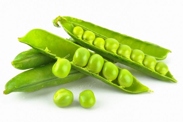 Burcon: Market timing right for pea protein 