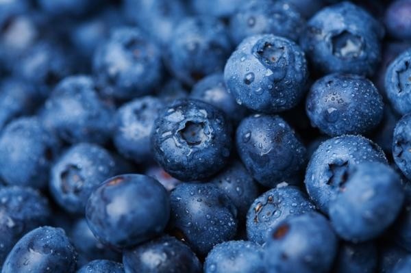 Berries may protect brain functioning, rat study suggests
