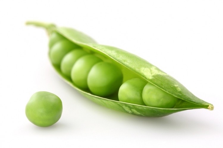 Pea protein supplements match whey for muscle thickness gains: Roquette study