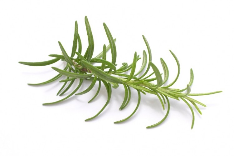Kemin receives sustainability certification for vertically integrated rosemary production
