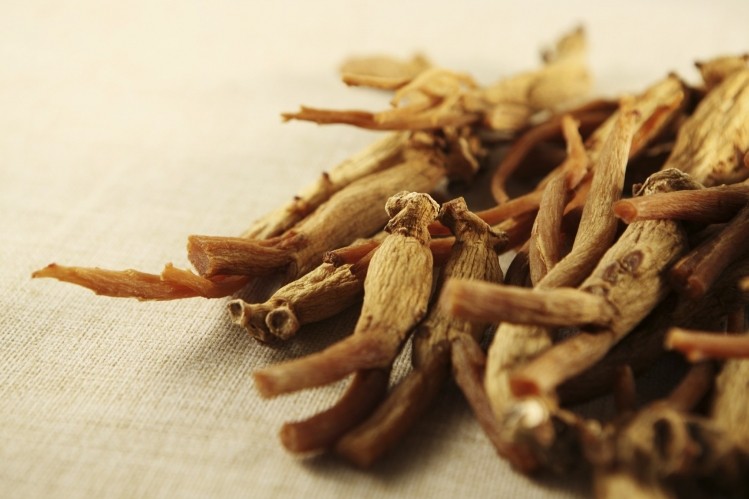 American Ginseng Advisory Panel formed to preserve the genetic diversity of wild botanical