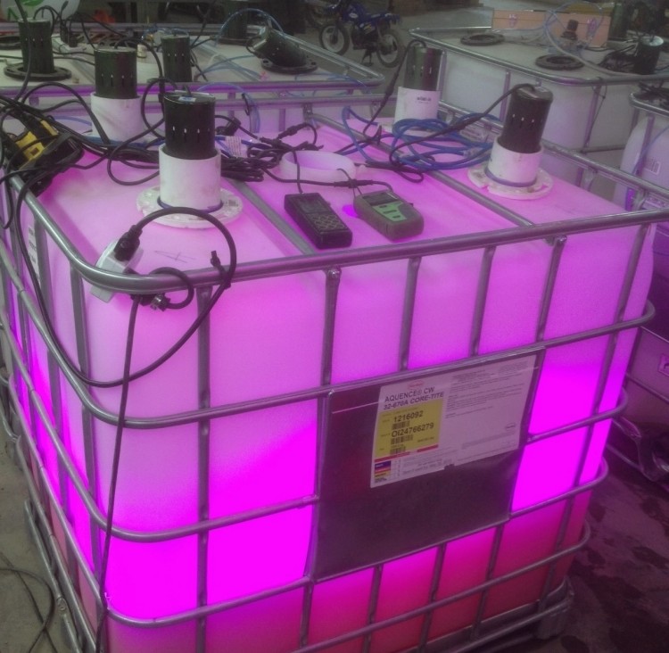 Blue Ocean has been testing its CO2 infusion technology in its own modular algae growth system based on 250-gallon totes.