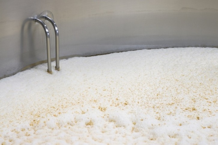 Health-promoting fibre ingredients can be derived from existing commercial streams of microbes - such as brewer's spent yeast. GettyImages/georgeclerk