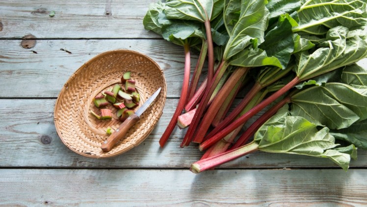 Rhubarb a potential treatment for gastrointestinal dysfunction: China trial