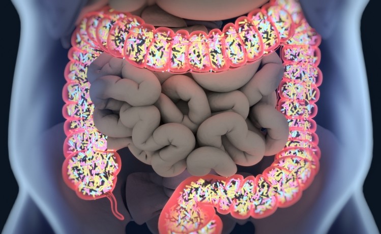 Prebiotics forge forward on gut health benefits during fiber guidance interregnum