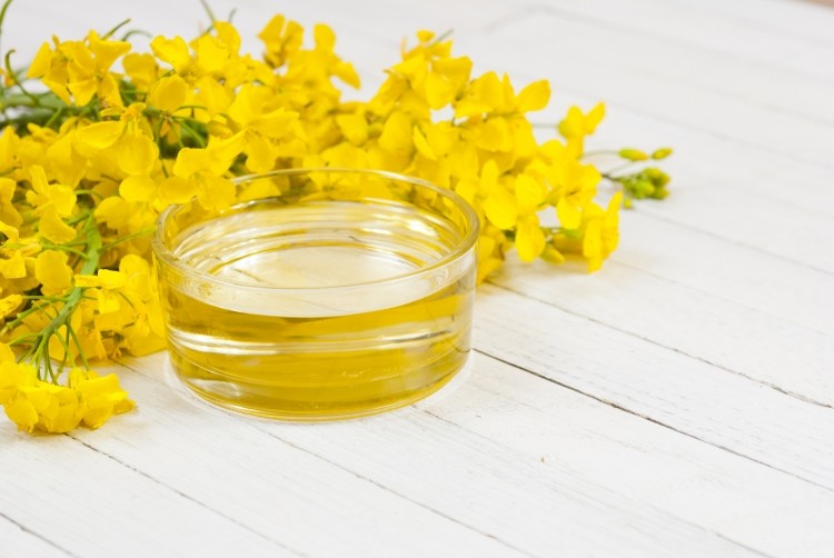 Nutriterra is derived from canola genetically engineered to produce higher levels of long-chain omega-3 fatty acids.   Image © S847 / Getty Images 