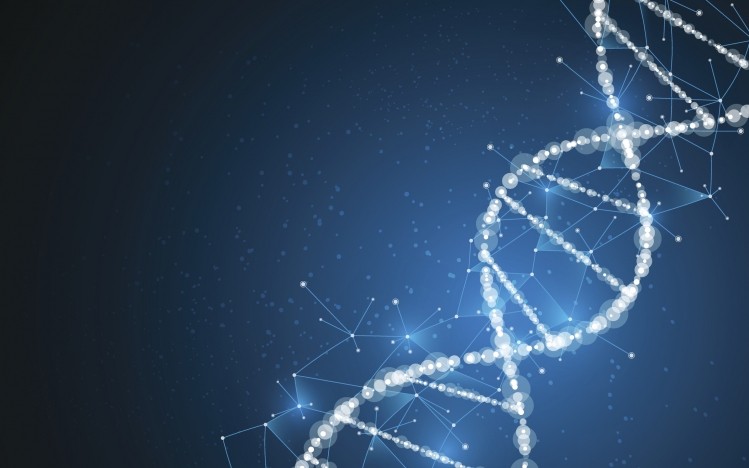The 2013 paper about DNA barcoding is still under investigation by the open access journal BMC Medicine.   Image © Pixtum / Getty Images