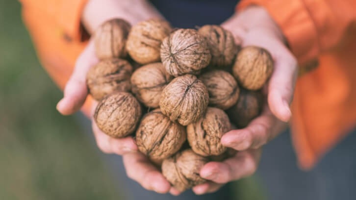 Walnuts may lower cardiovascular disease risk. Drazen_ @ Getty Images.