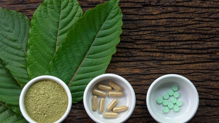 The few scientists who are researching synthetic kratom are also among those calling for increased legislation. @ Yanawut/Getty Images