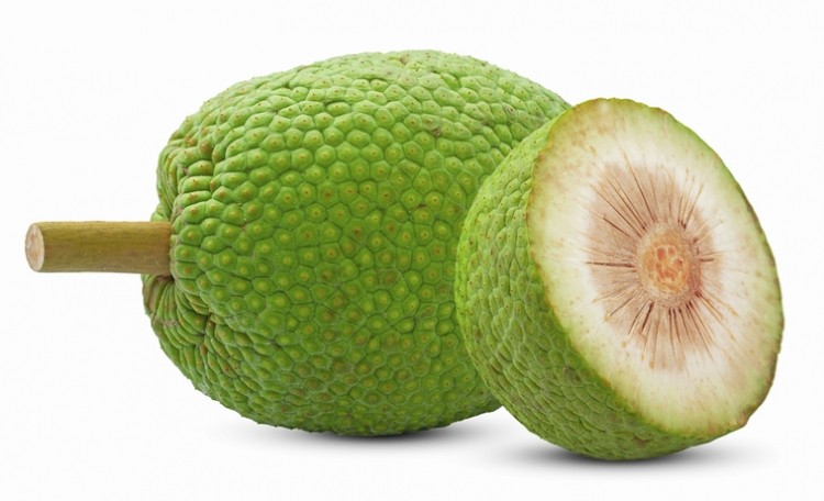 Researcher-There-is-enormous-potential-for-breadfruit-in-the-protein-sector.jpg