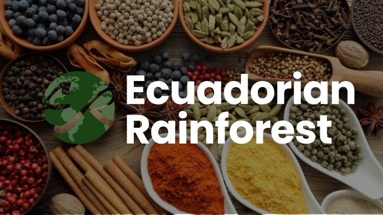 Ecuadorian Rainforest :Ingredients From South America & Beyond