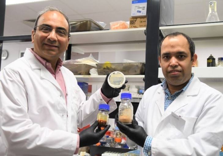 Medical Biotechnology scientist Associate Professor Munish Puri, left, and fellow researcher Dr Adarsha Gupta with locally sourced Australian microalgae in culture, and the powdered and processed material produced for biodiesel production at the Flinders Bioprocessing Lab.©Flinders University.