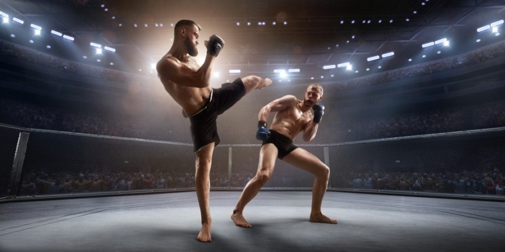 GettyImages - Mixed Martial Arts Athletes / Aksonov