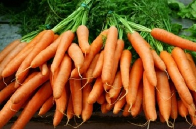 Do organic beat conventional vegetables for immune system support?