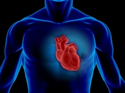 Statistical review shows low Vitamin K2 as risky as smoking for heart disease