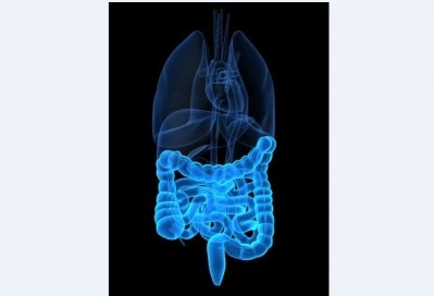 ‘Largest’ study questions probiotic diarrhoea benefits