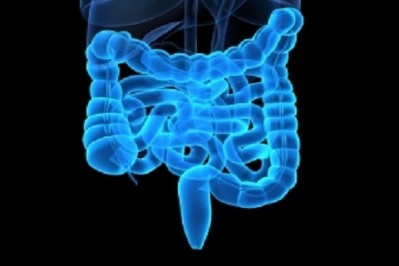 Probiotics may ease stress-related gut problems: Mouse data