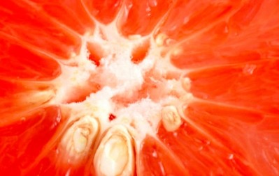 ABC puts out lab document on grapefruit seed extracts
