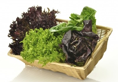 Leaf colour determines lettuce's antioxidant effect