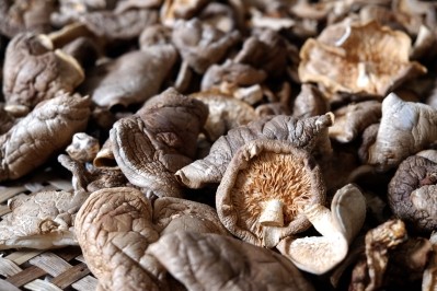 Dried Shiitake mushrooms. Image © iStock/tuu Sitthikorn