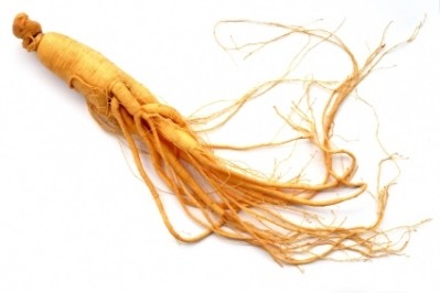 Ginseng belongs to the genus Panax of the family Araliaceae